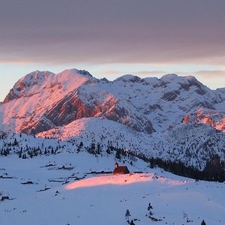 Velika Planina - Chalet Stane - Alps Stahovica Екстериор снимка