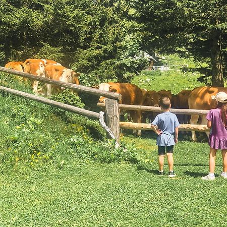 Velika Planina - Chalet Stane - Alps Stahovica Екстериор снимка
