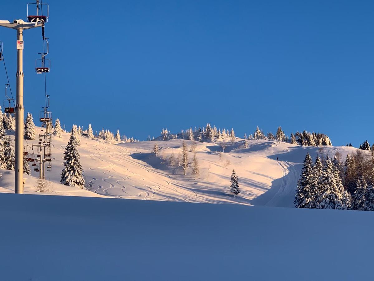 Velika Planina - Chalet Stane - Alps Stahovica Екстериор снимка