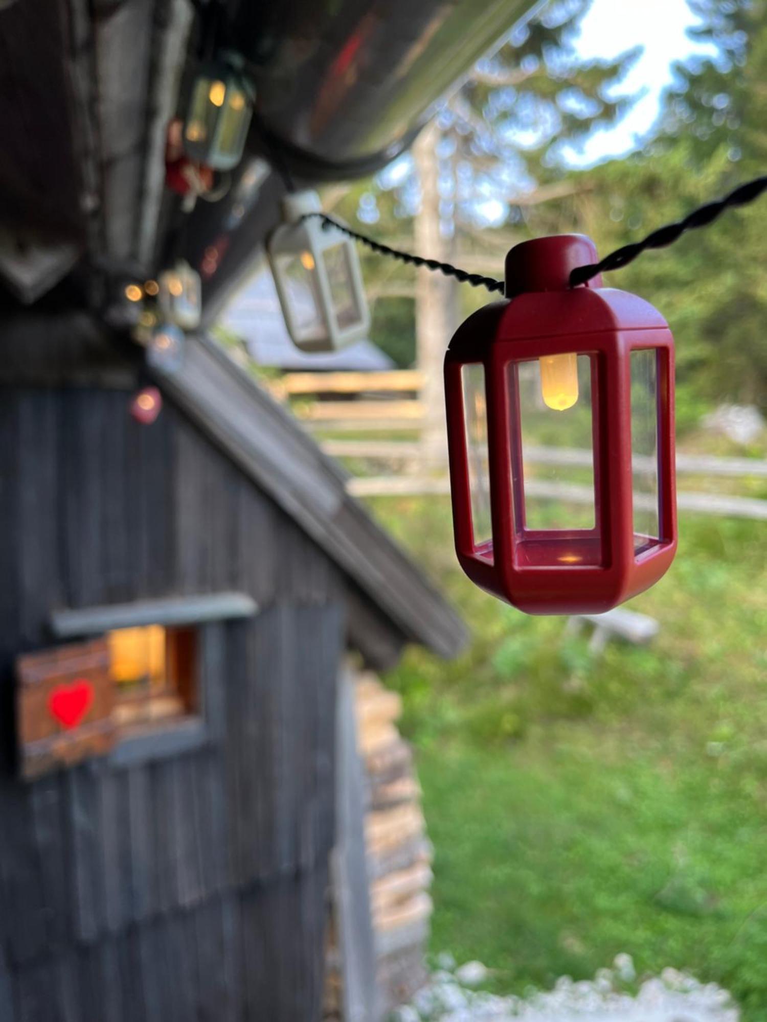 Velika Planina - Chalet Stane - Alps Stahovica Екстериор снимка