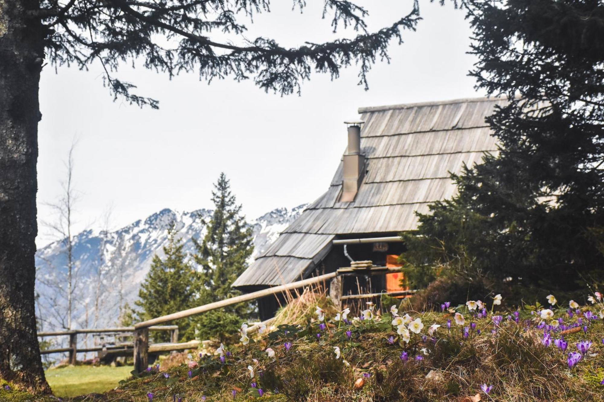Velika Planina - Chalet Stane - Alps Stahovica Екстериор снимка