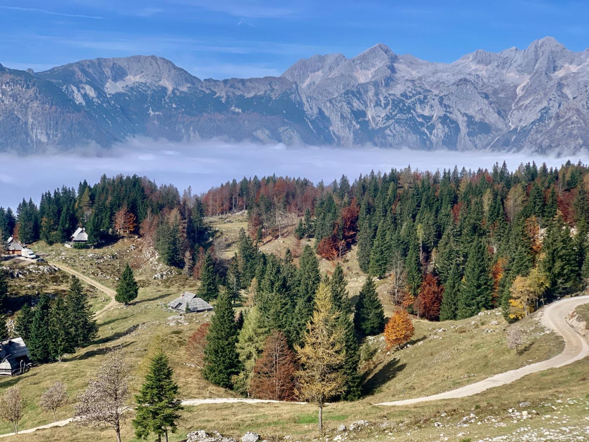 Velika Planina - Chalet Stane - Alps Stahovica Екстериор снимка
