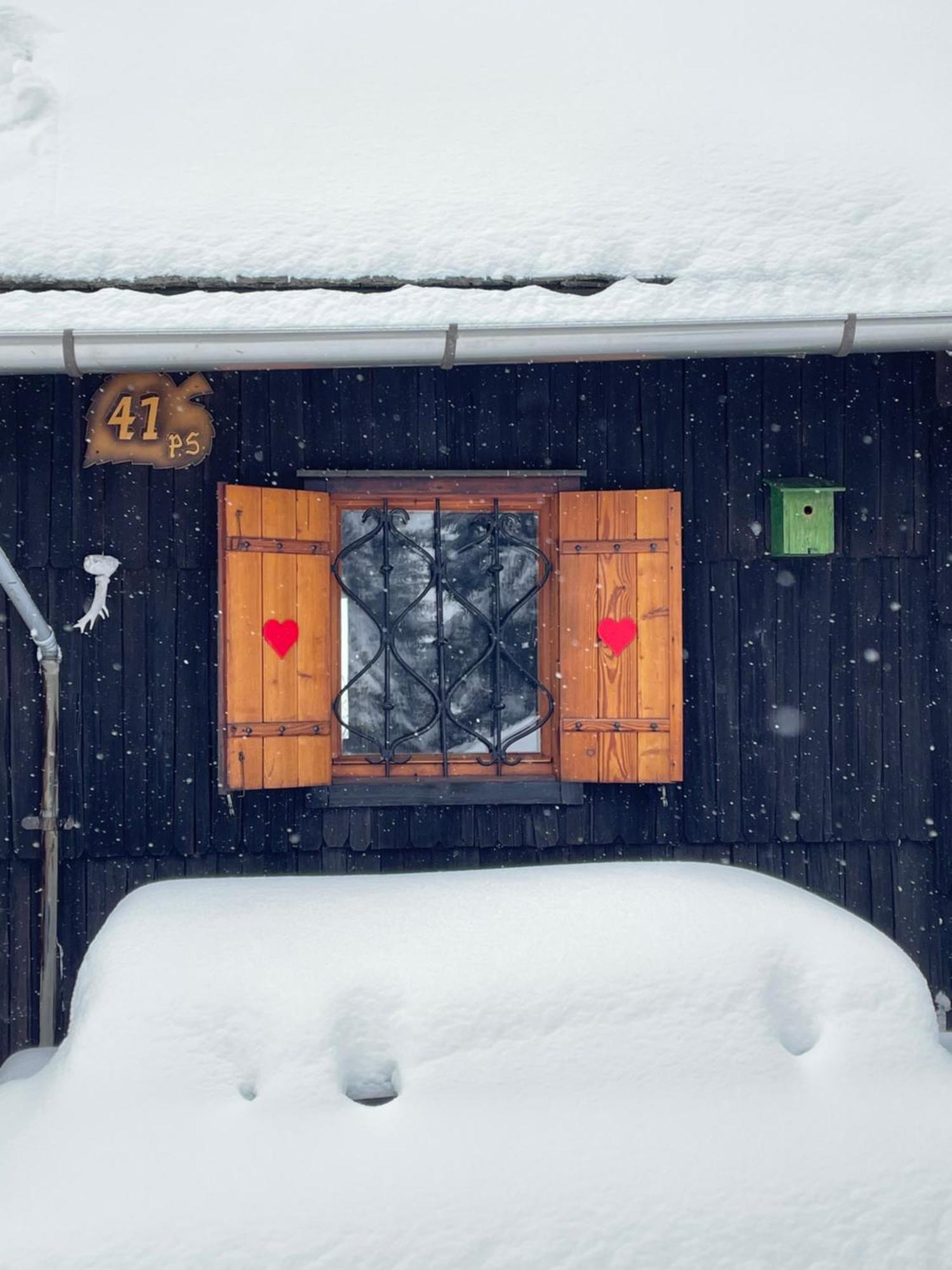 Velika Planina - Chalet Stane - Alps Stahovica Екстериор снимка