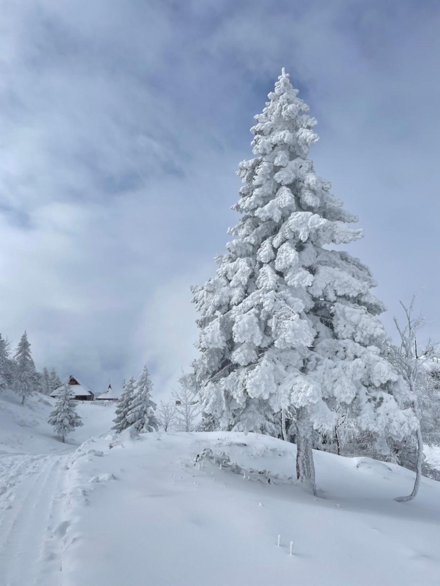 Velika Planina - Chalet Stane - Alps Stahovica Екстериор снимка