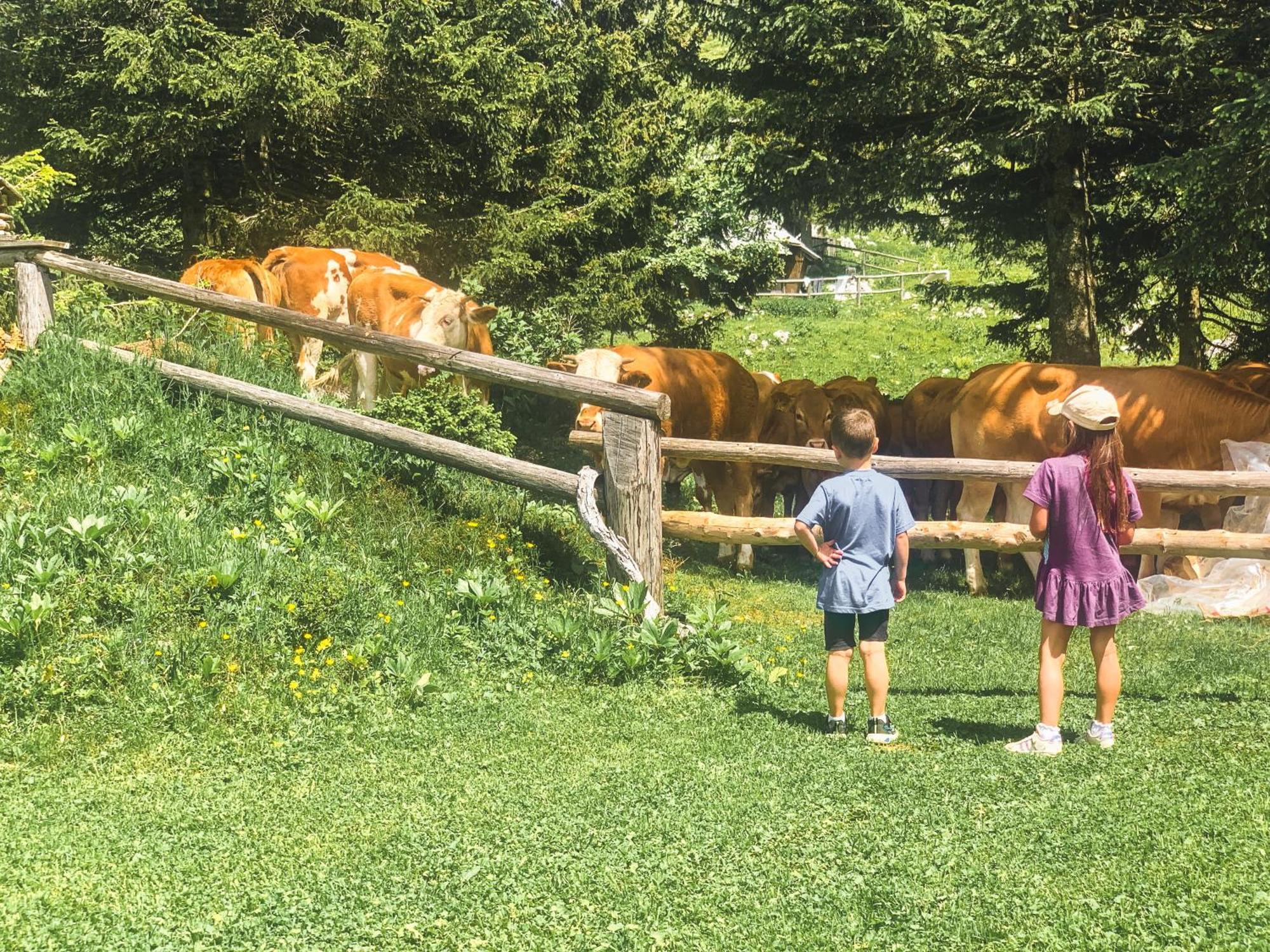 Velika Planina - Chalet Stane - Alps Stahovica Екстериор снимка